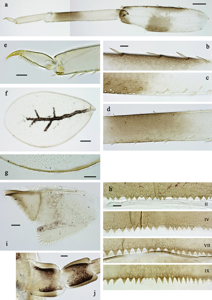 Figure 22