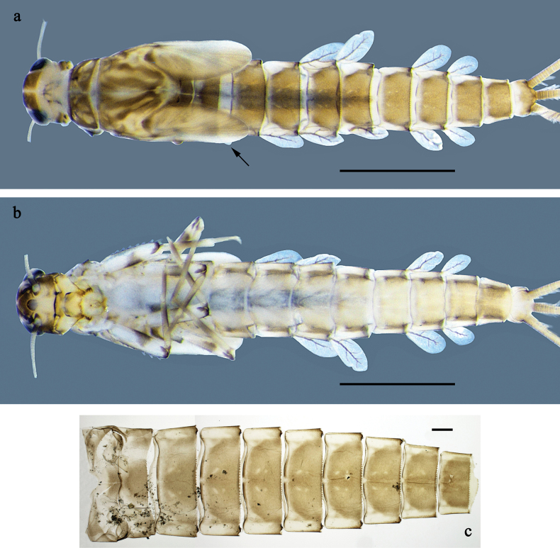 Figure 23