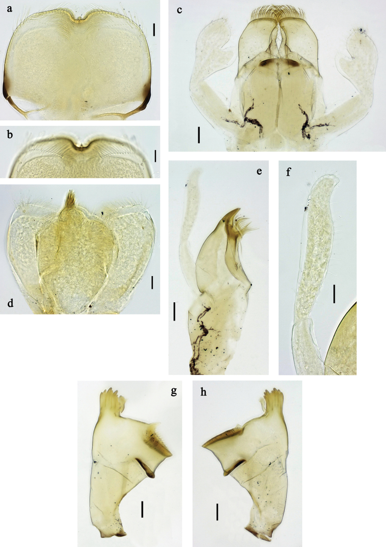 Figure 25