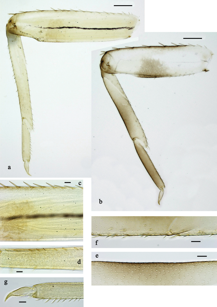 Figure 26