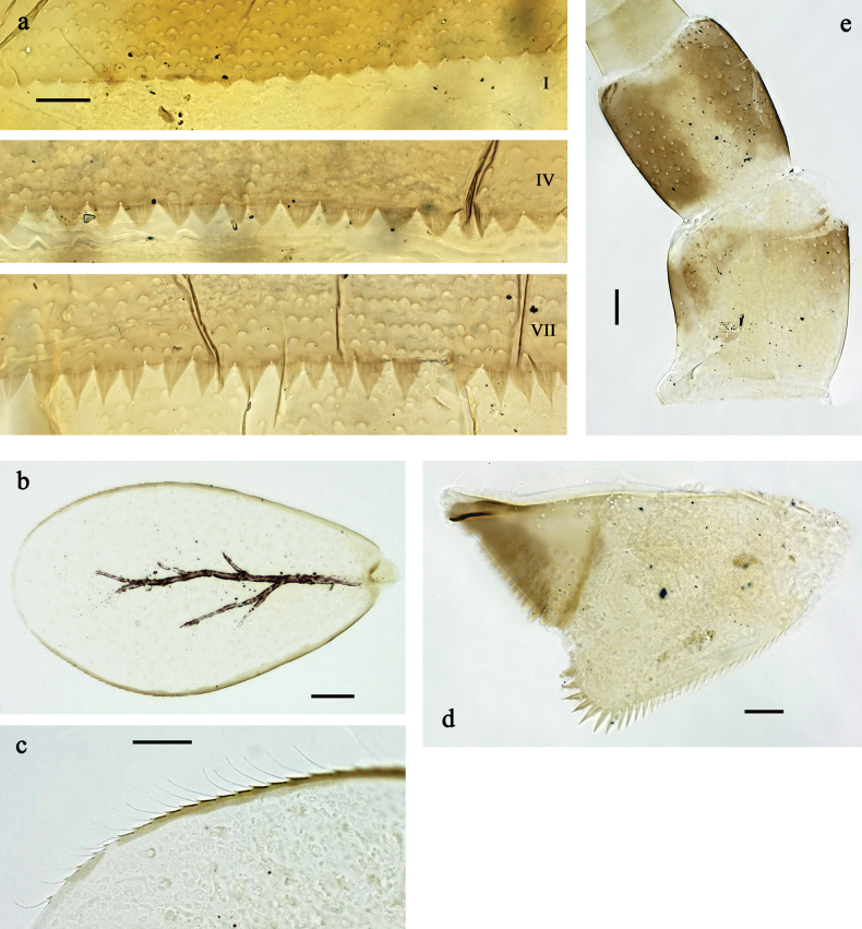 Figure 27