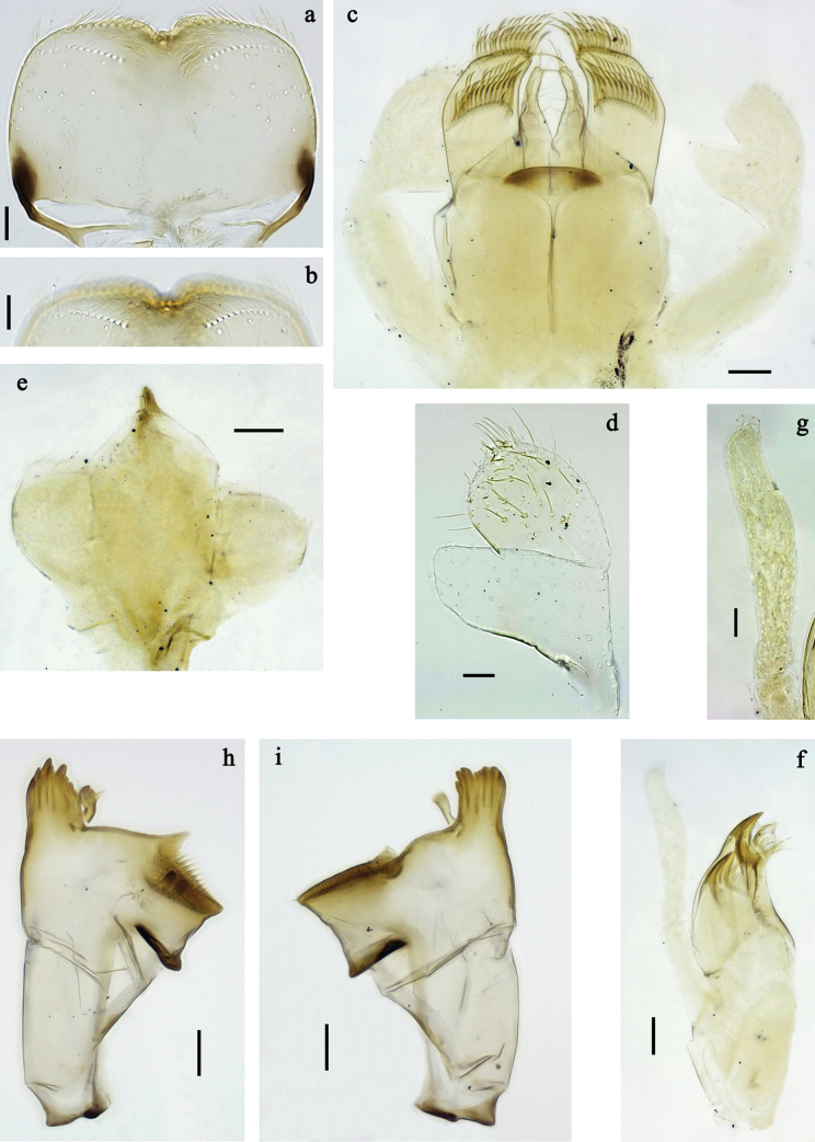 Figure 29