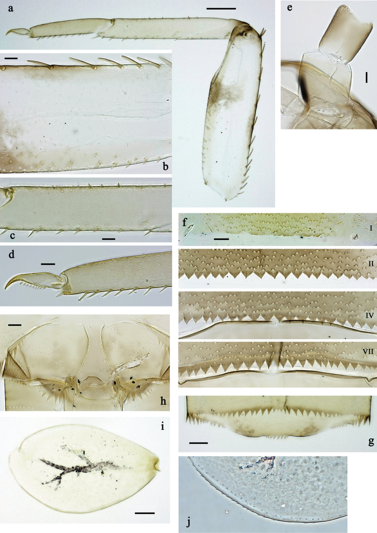 Figure 30
