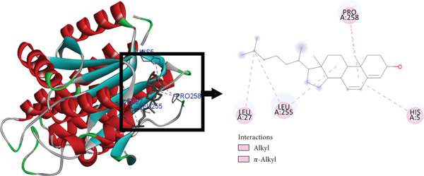 Figure 2