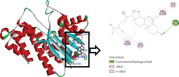 Figure 13