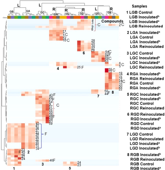Figure 13
