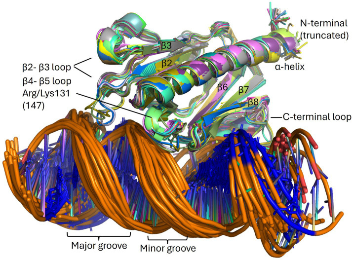 Figure 9