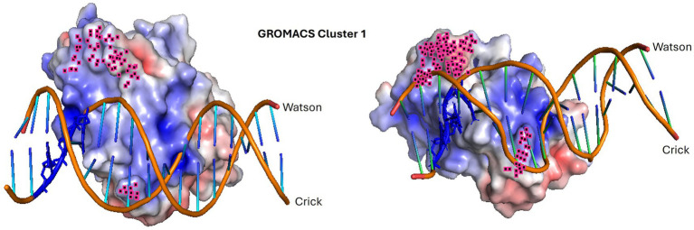 Figure 11