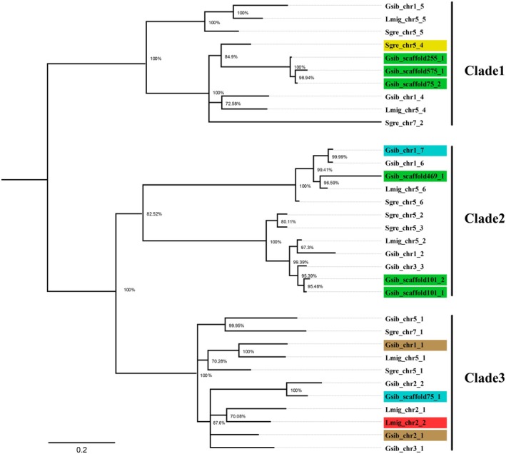 Figure 2