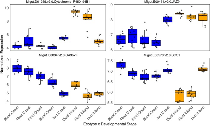 Figure 6