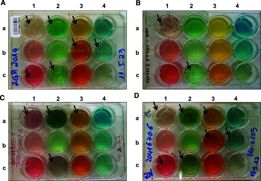 Figure 4