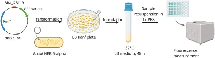 Figure 7