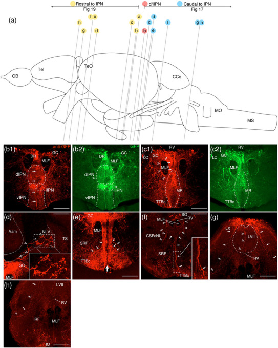 Figure 10