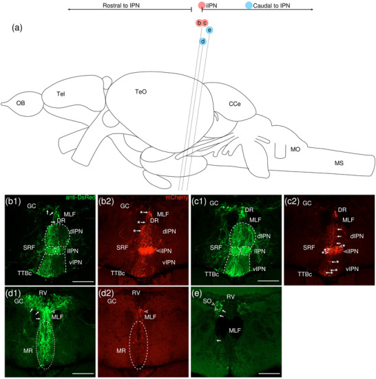 Figure 17