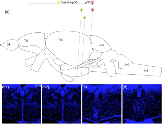 Figure 18
