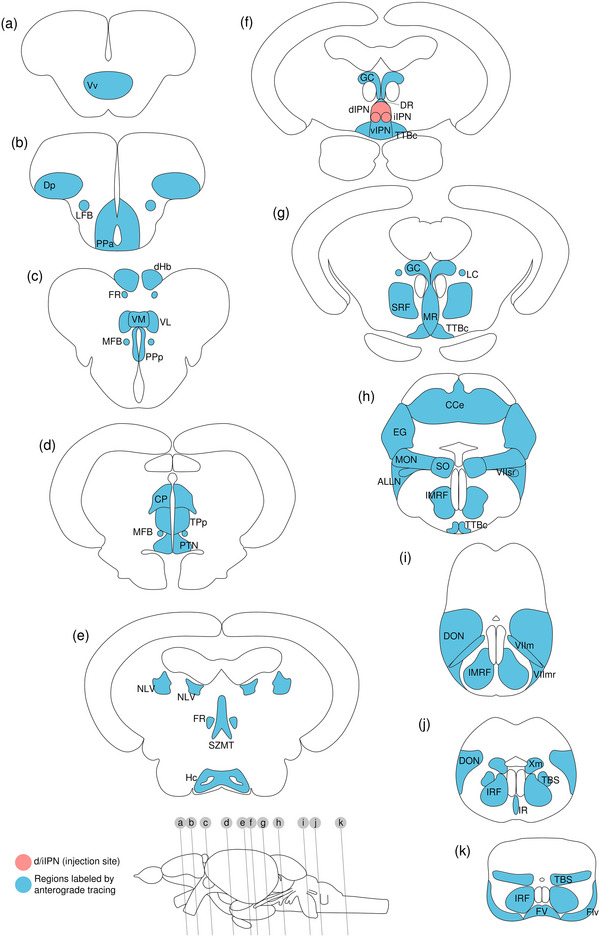 Figure 22