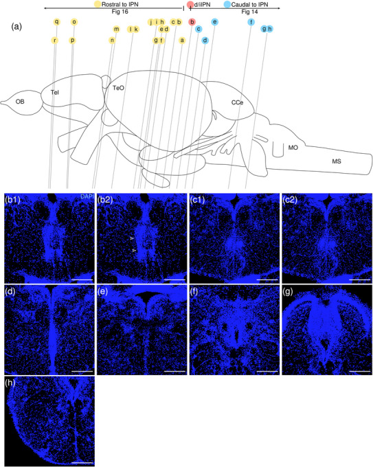 Figure 23