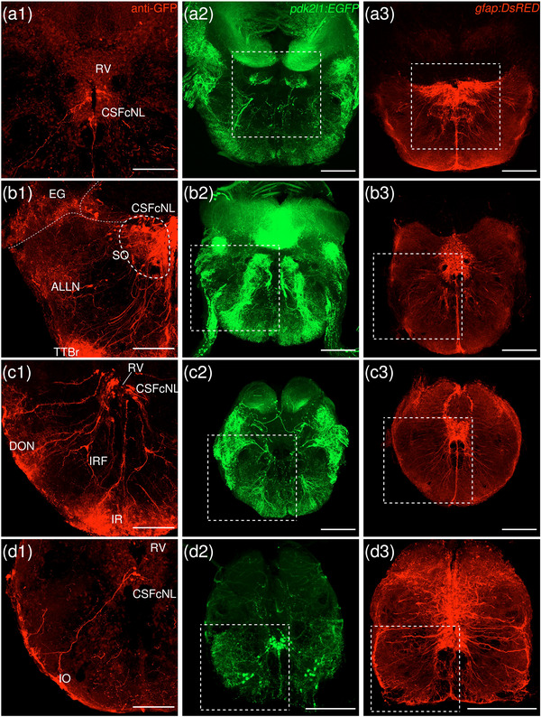 Figure 25