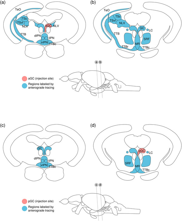 Figure 26