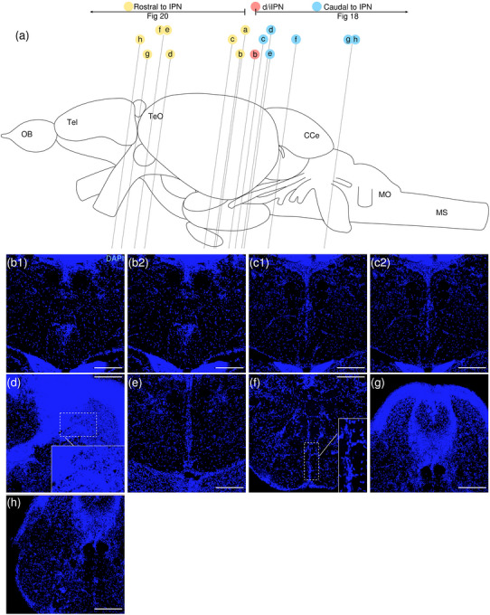 Figure 27