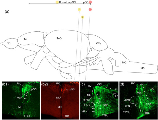 Figure 28