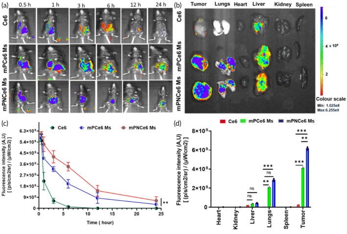 Figure 12