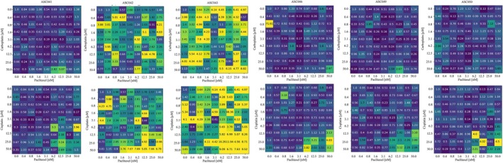 Figure 13