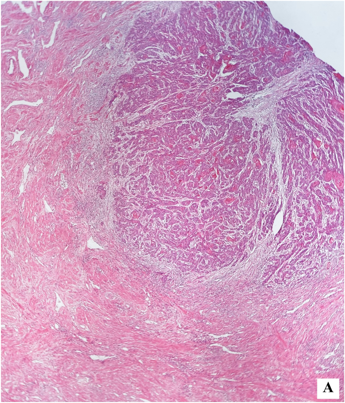 Figure 9