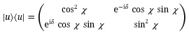 Figure 21