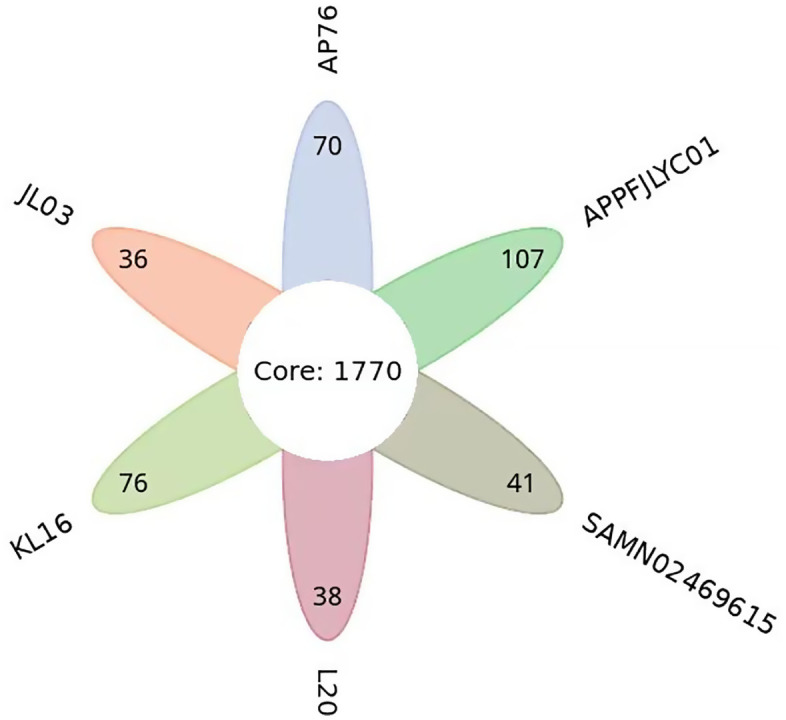 Figure 5
