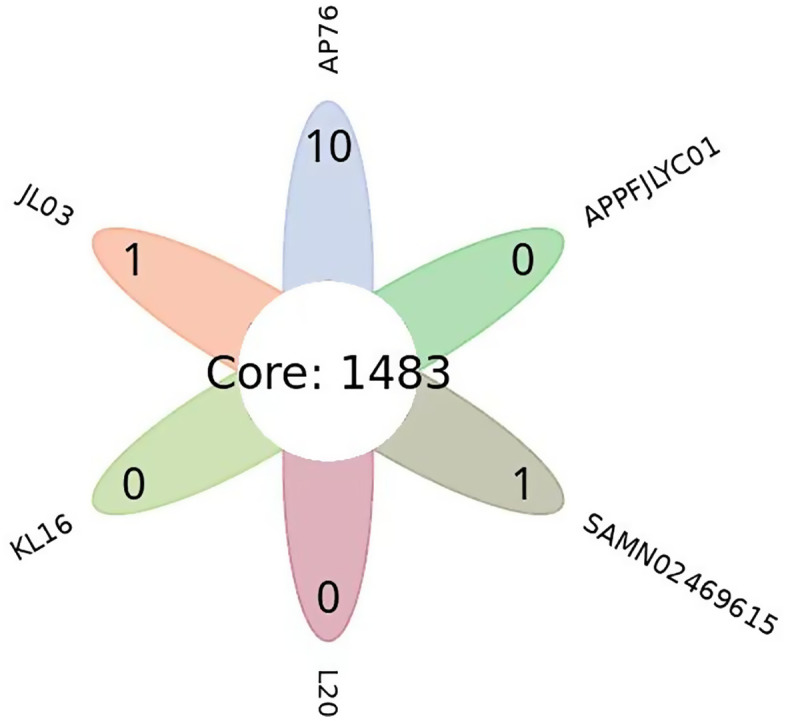 Figure 6