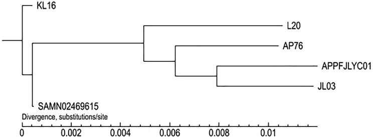 Figure 7