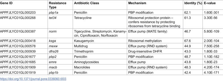 Figure 12