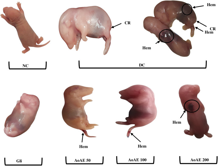Figure 15