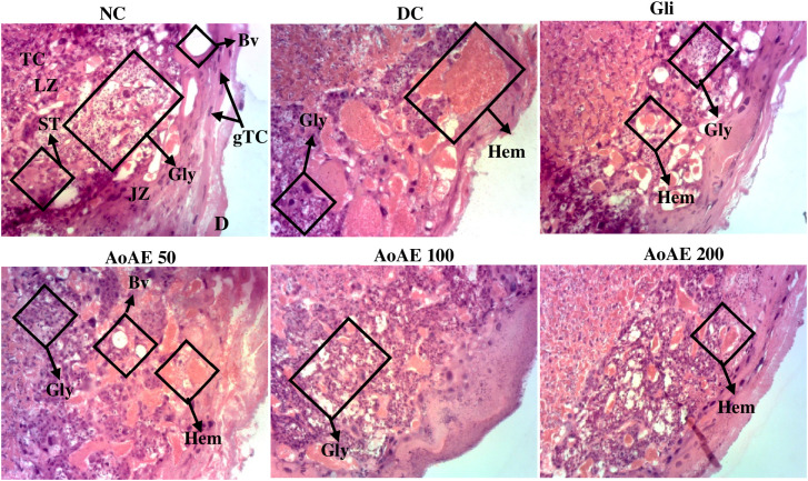Figure 17