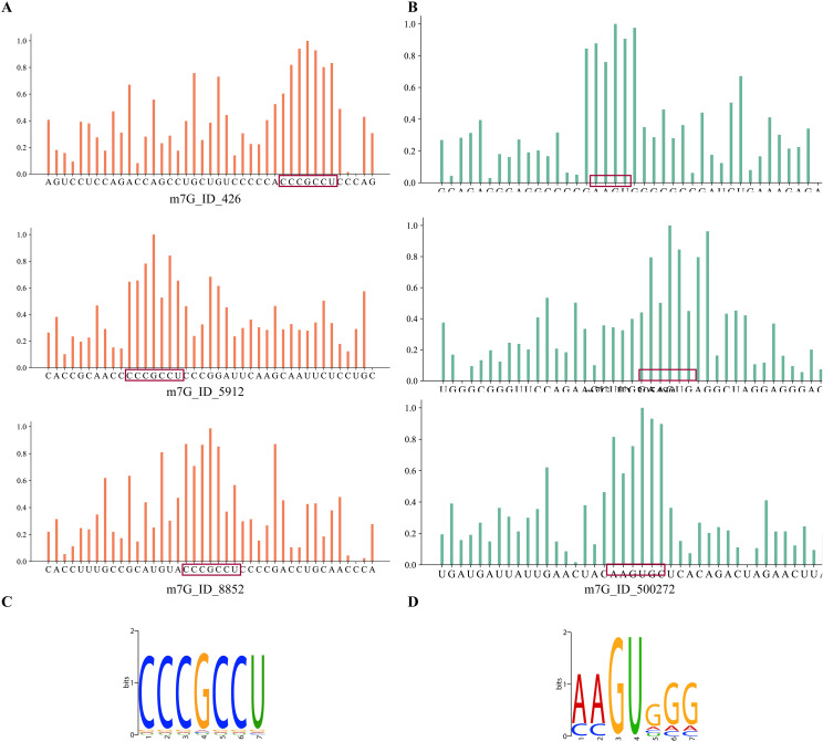 Figure 45