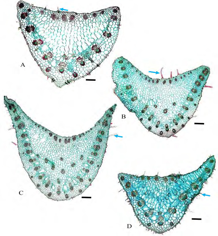 Figure 8