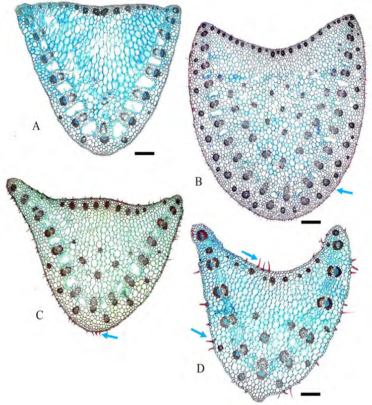 Figure 9