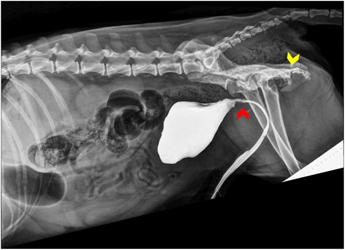 Figure 2
