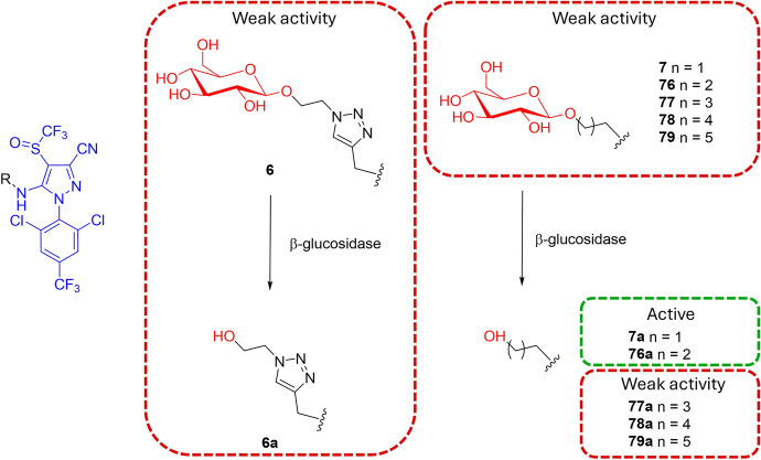 Figure 20