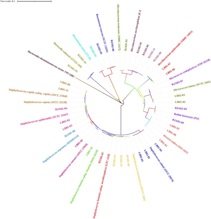Figure 5