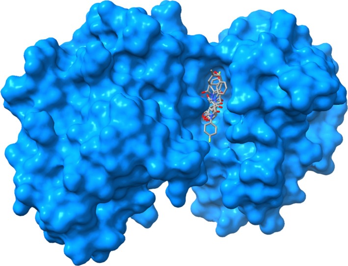 Figure 7
