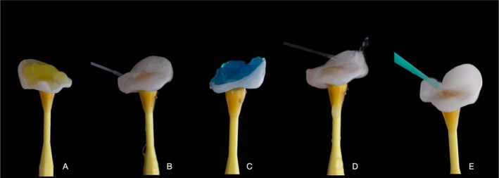 FIGURE 13