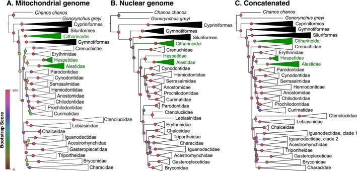 FIGURE 2