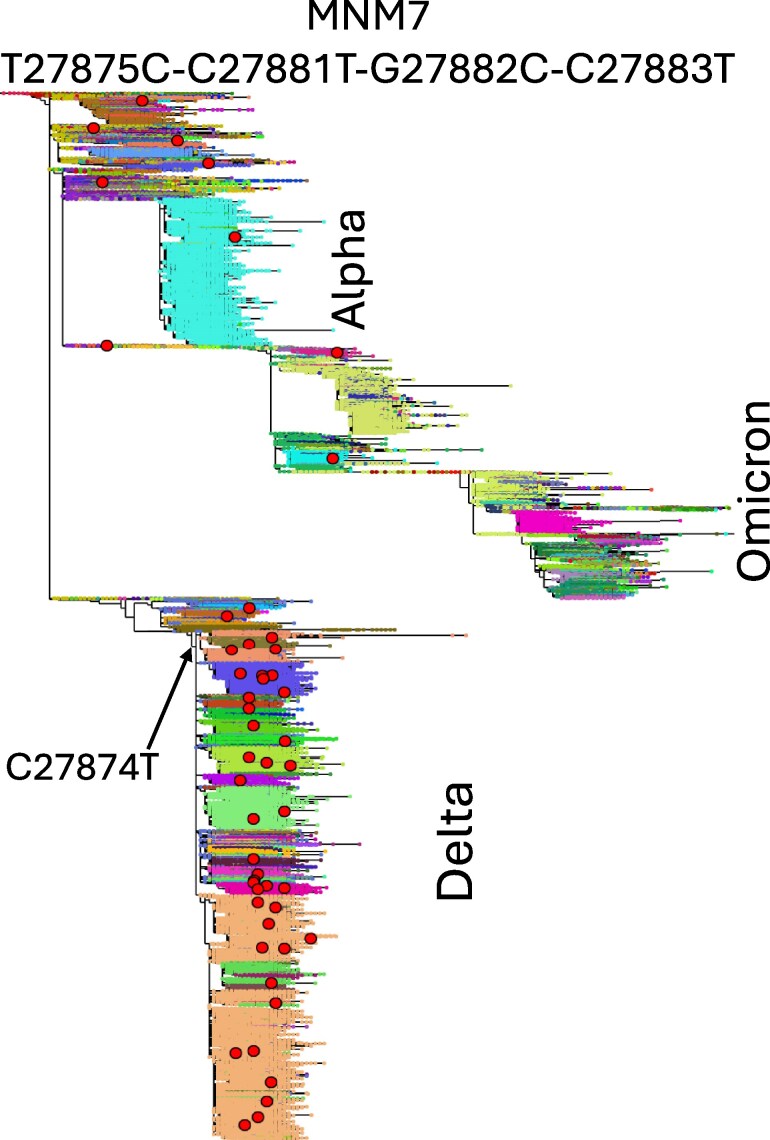 Fig. 3