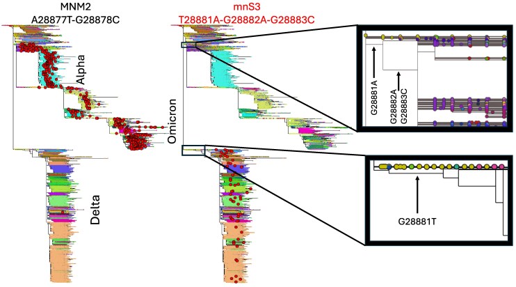 Fig. 4
