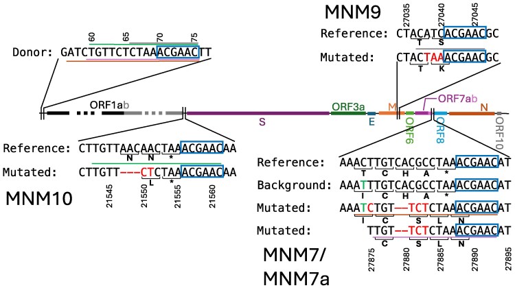 Fig. 7