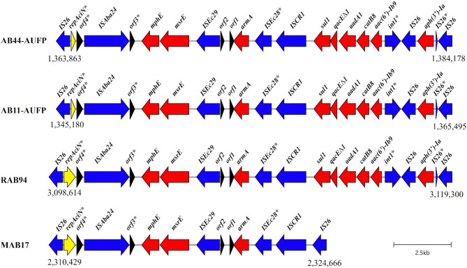 Figure 6