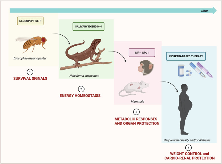 FIGURE 2