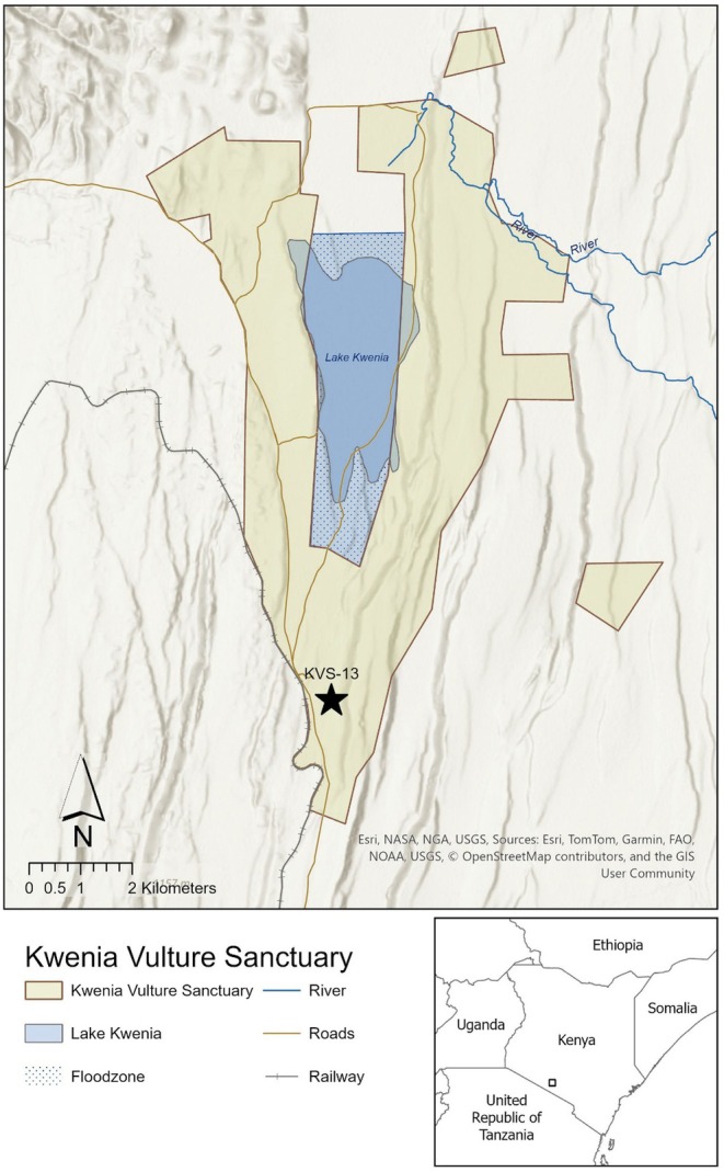 FIGURE 3
